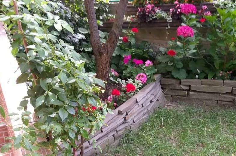 Гостевой дом «Бриз Лоо»