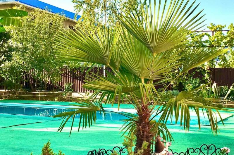 Гостевой комплекс «Дом солнца»