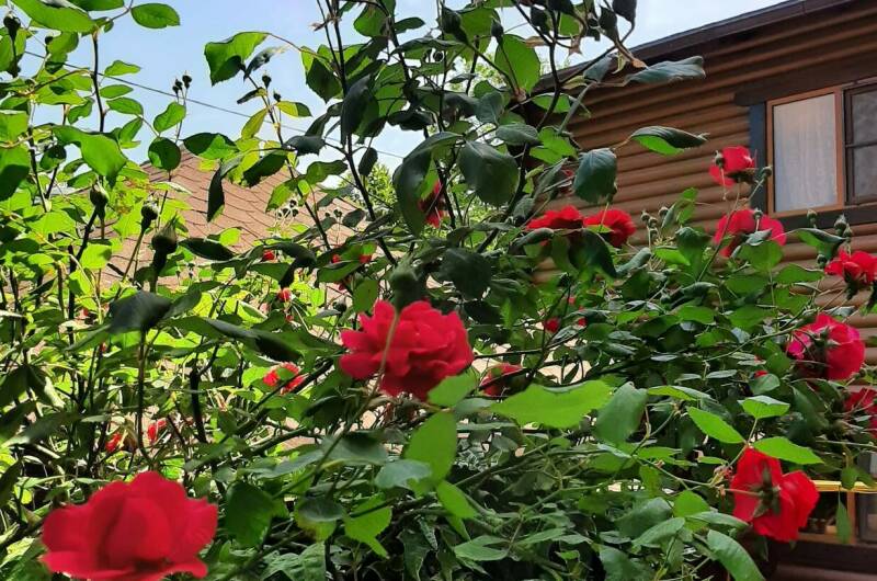 Частный дом «У Натальи»