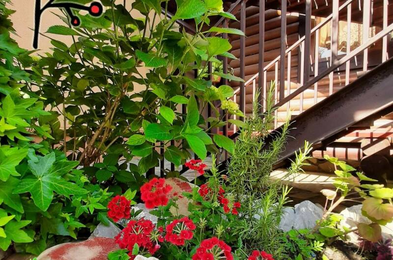 Частный дом «У Натальи»