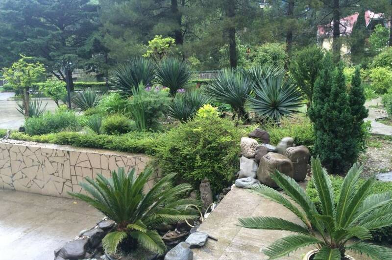 Гостевой дом «Янтарь»