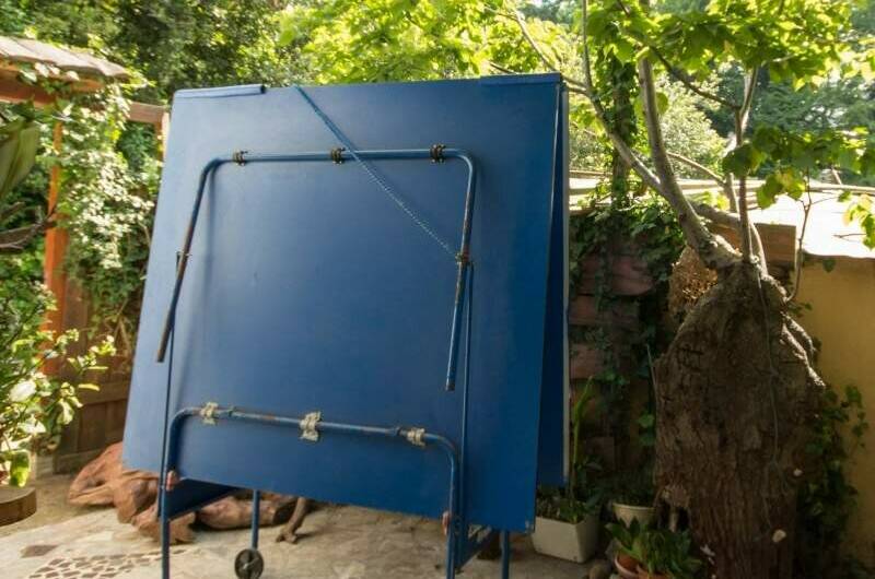 Бухта «Хоста»