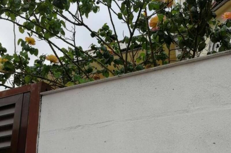 Гостевой дом «Чайная роза»