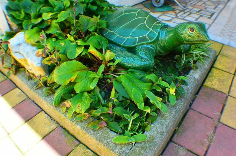 Гостевой дом «Даниела»