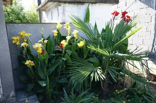 Гостевой дом «На Львовском»