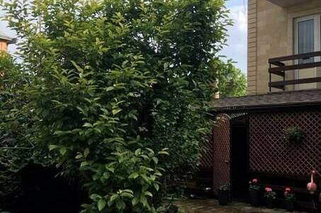 Гостевой дом «Нана»