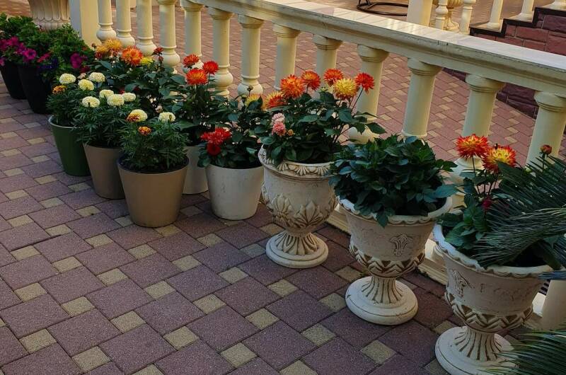 Гостевой дом «Белая акация»