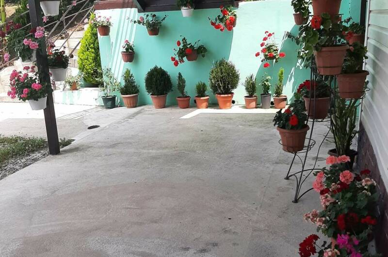 Гостевой дом «Ангелина»