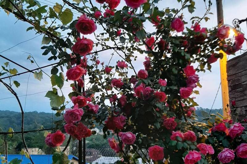 Гостевой дом «Ангелина»