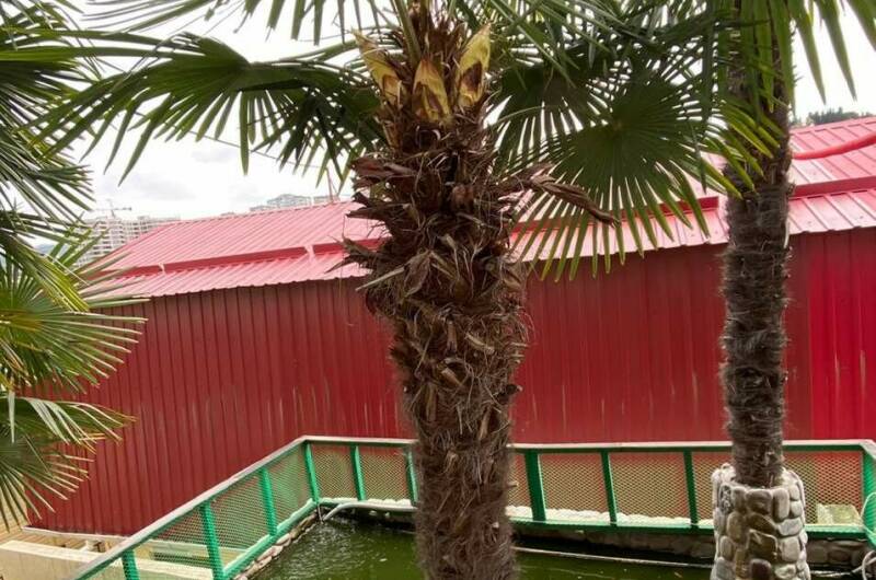 Гостевой дом «Пионер»