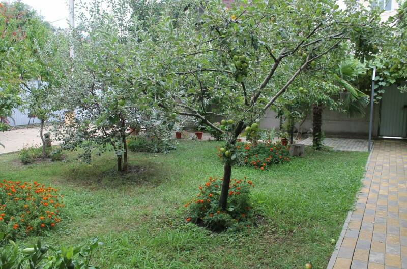 Гостевой дом «Лужайка»