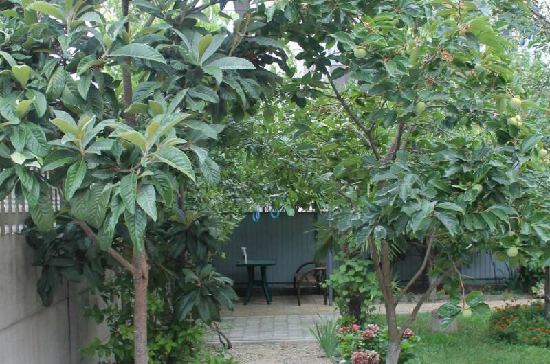 Гостевой дом «Лужайка»