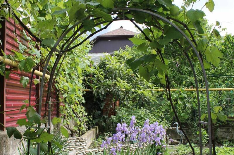 Гостевой дом «Лужайка»