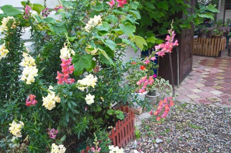 Гостевой дом «Лиственница»