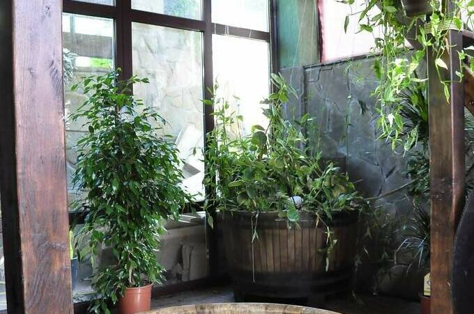 Хостел &quot;Миньоны&quot;