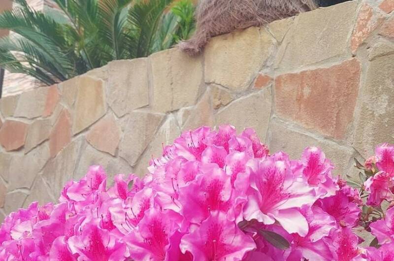 Гостевой дом «Аэлита»