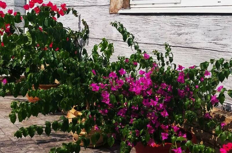 Гостевой дом «Аэлита»