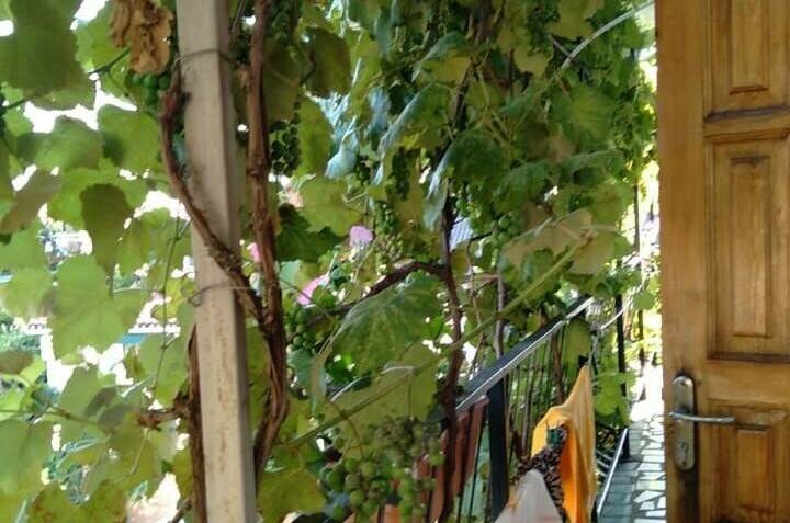 Гостевой дом на Киевской