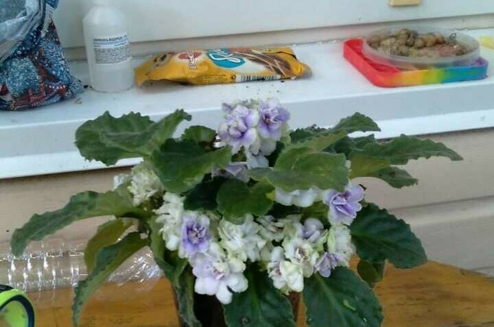 Гостевой дом на Киевской