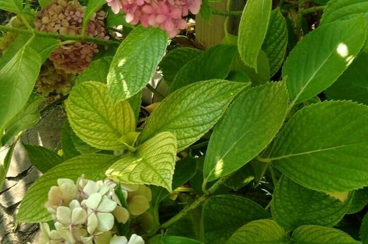 Гостевой дом на Киевской