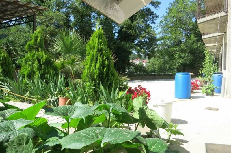 Гостевой дом «Добрый Кит»