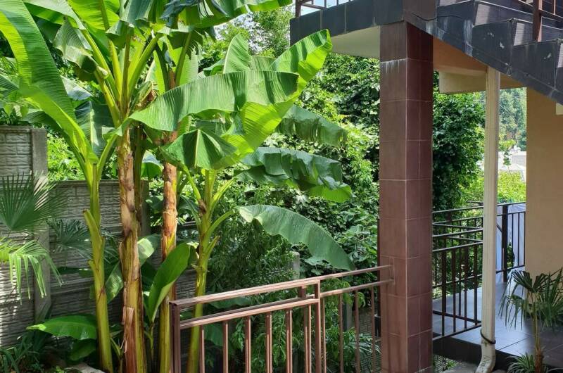 Гостевой дом «У Кота»