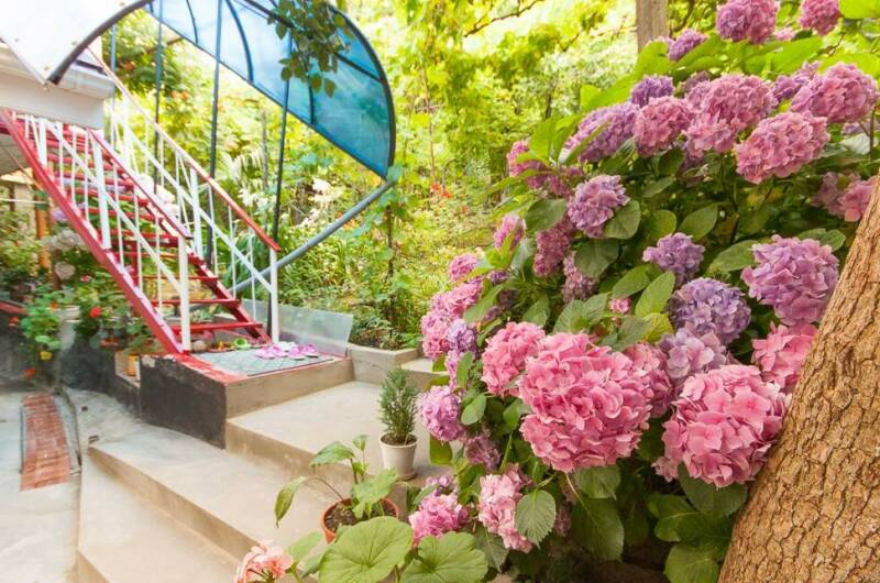 Гостевой дом «Лилия»