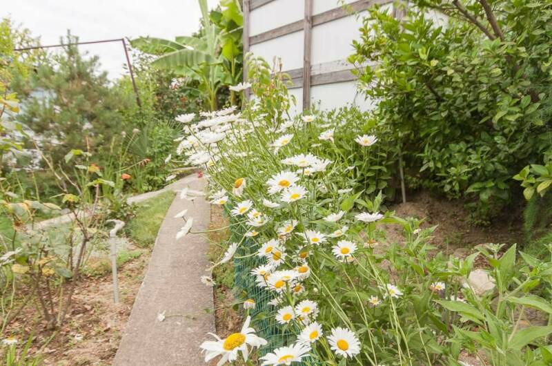 Гостевой дом «Лилия»