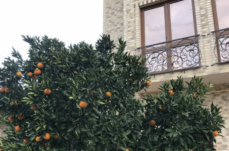 Гостевой дом «У Сережи»