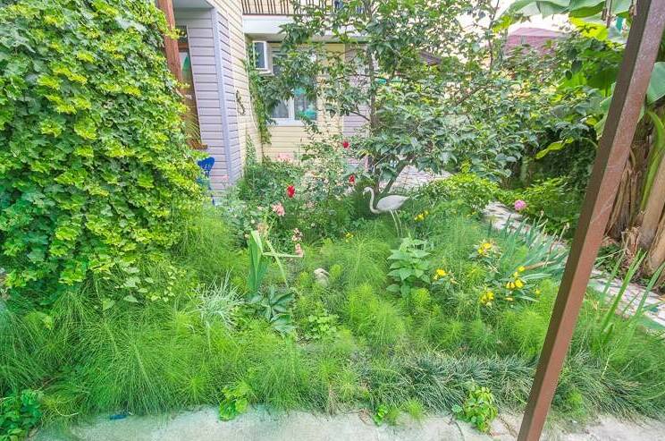 Гостевой дом «Волковых»