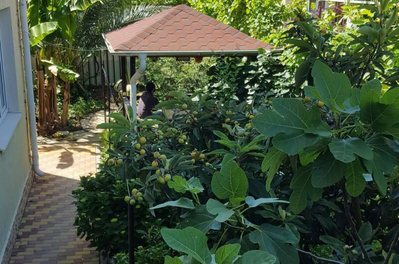 Гостевой дом «Агава»