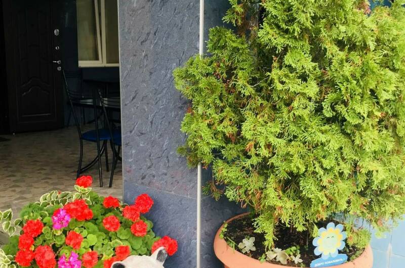 Гостевой дом «Наира»