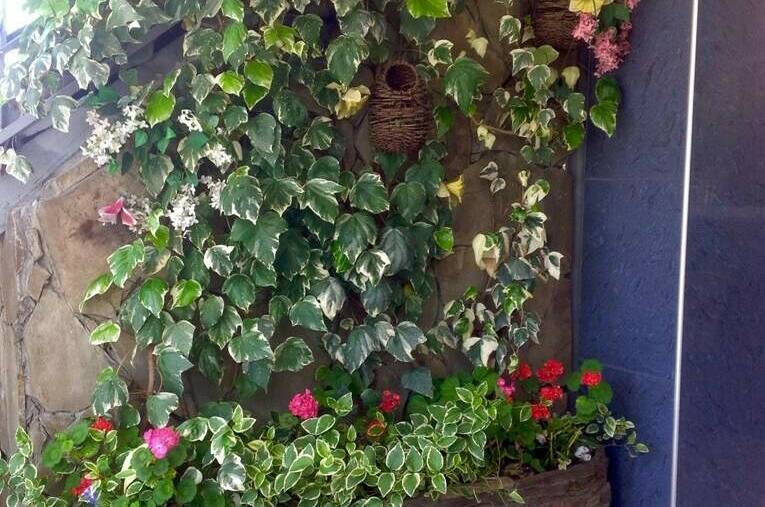 Гостевой дом «Наира»