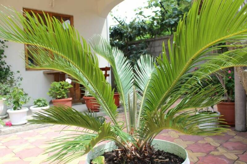 Гостевой дом «У Любавы»