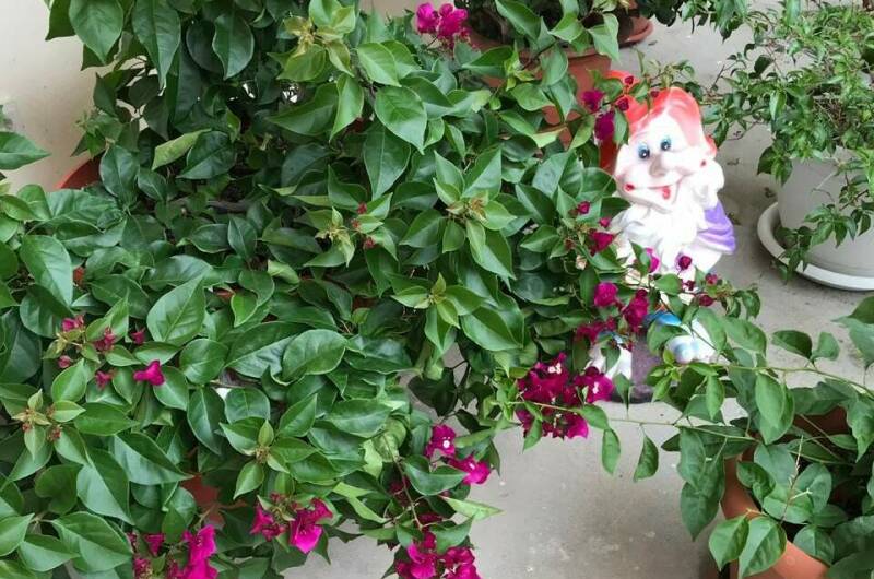 Гостевой дом «У Любавы»