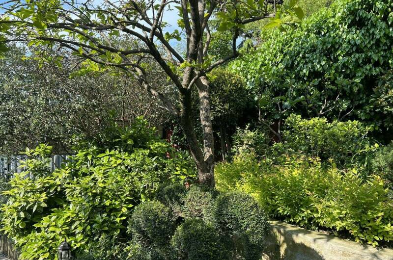 Гостевой дом «Агеевъ»