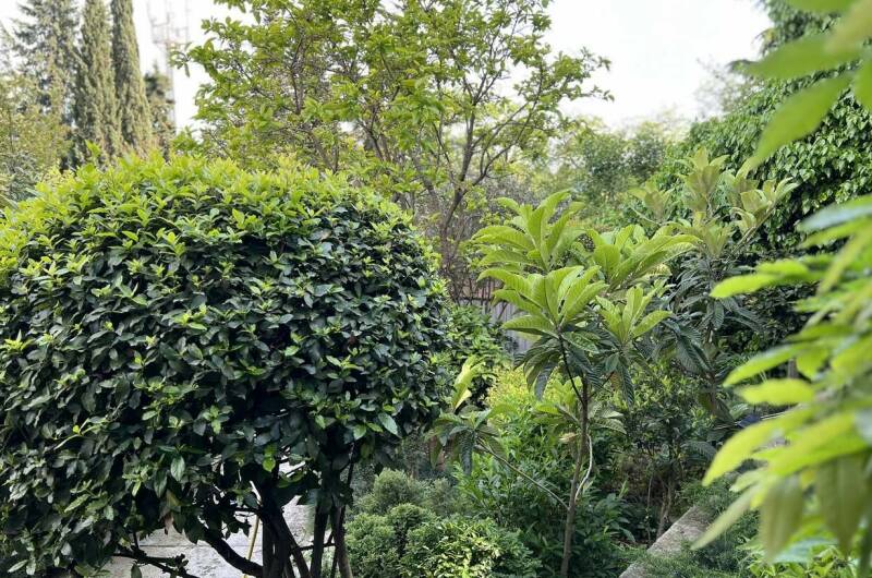 Гостевой дом «Агеевъ»