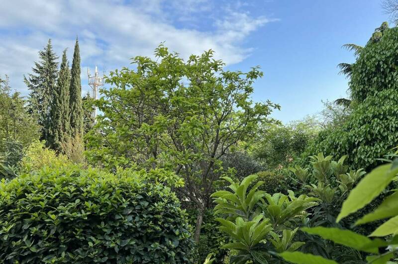 Гостевой дом «Агеевъ»