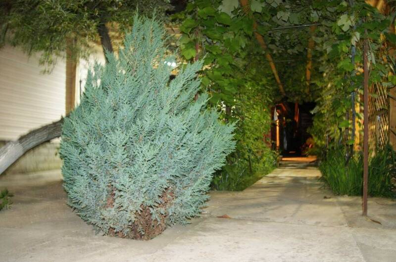 Гостевой дом «Натали»