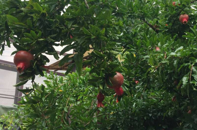 Гостевой дом «Руслан»