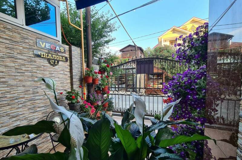 Гостевой дом «Vegas»