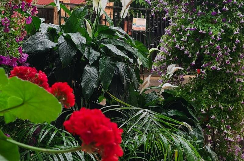 Гостевой дом «Vegas»