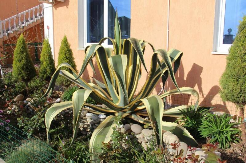 Гостевой дом «Возрождение»