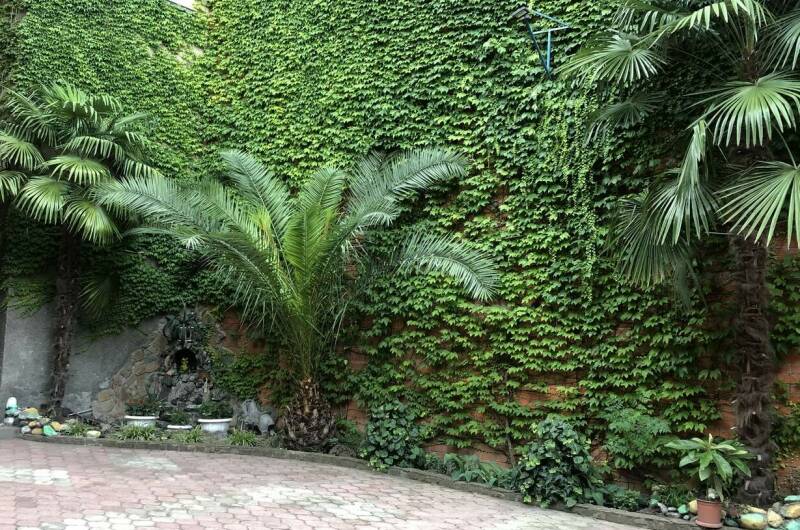 Гостевой дом «Василек»