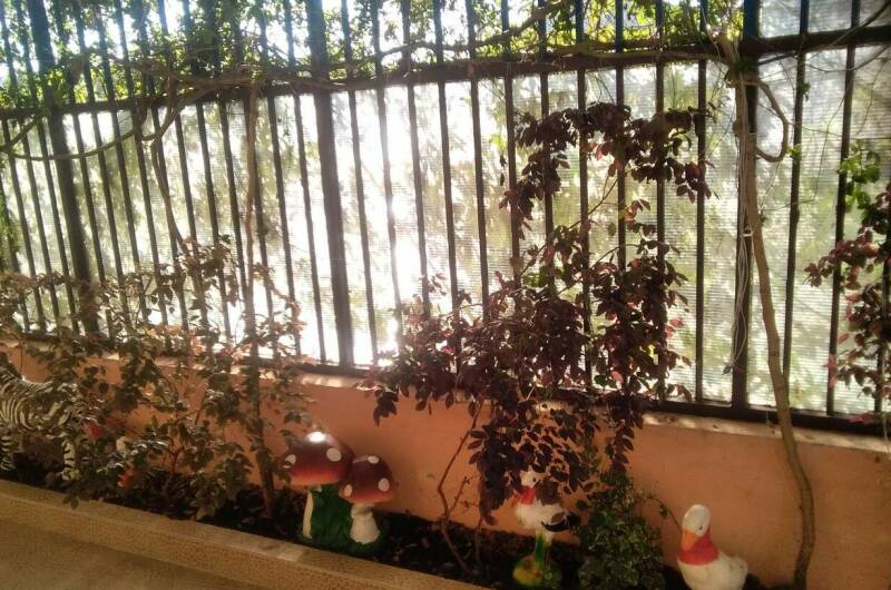 Гостевой дом «Рузана»