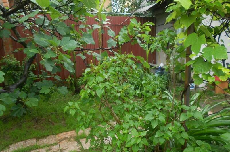 Гостевой дом «У Аркадия»