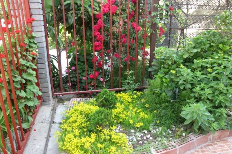 Гостевой дом «У Аркадия»