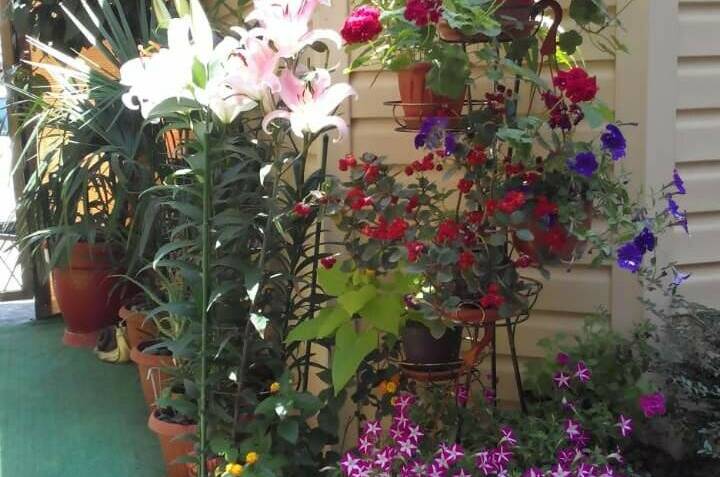 Гостевой дом «Уютный дом»