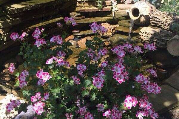 Мини-отель «Малибу»