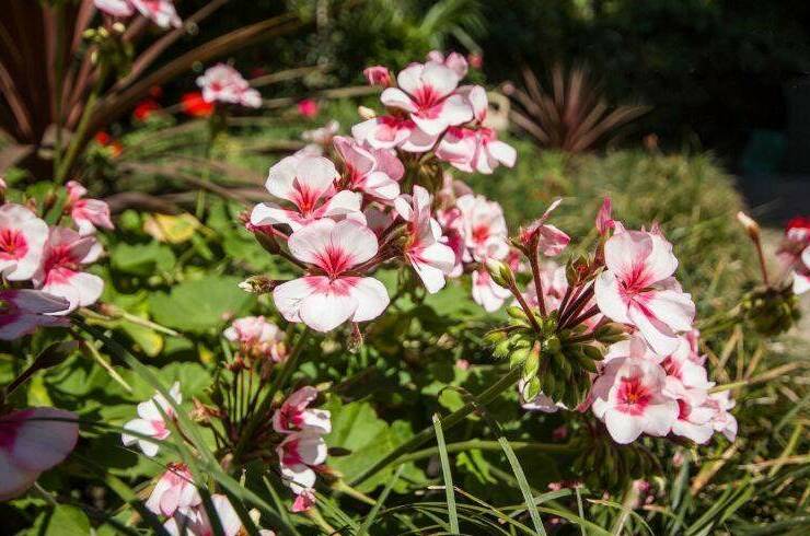 Гостевой дом «Лилия»